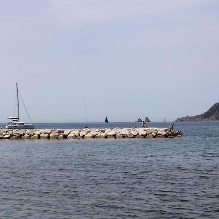 Studio L'Echappee Mandreenne Le Calme Entre Mer Et Foret Saint-Mandrier-sur-Mer Bagian luar foto