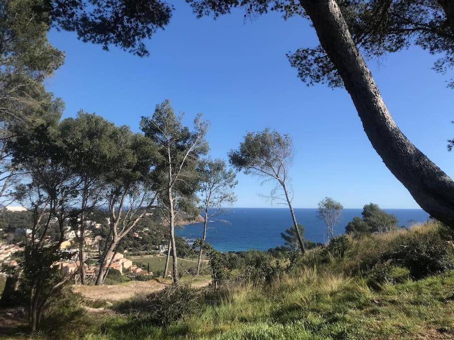 Studio L'Echappee Mandreenne Le Calme Entre Mer Et Foret Saint-Mandrier-sur-Mer Bagian luar foto