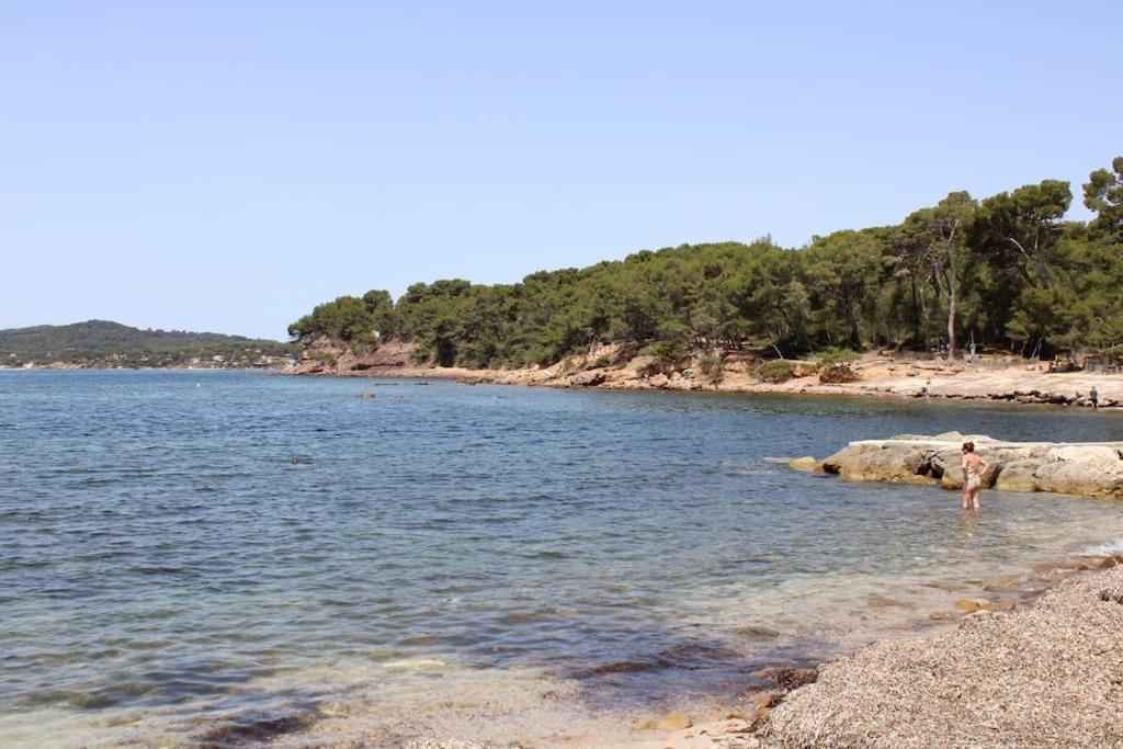 Studio L'Echappee Mandreenne Le Calme Entre Mer Et Foret Saint-Mandrier-sur-Mer Bagian luar foto